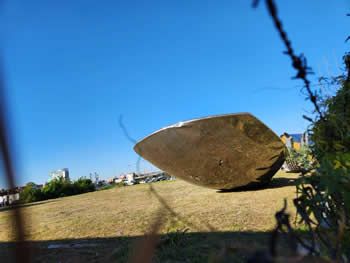 Floralis Generica