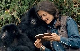 Dian Fossey