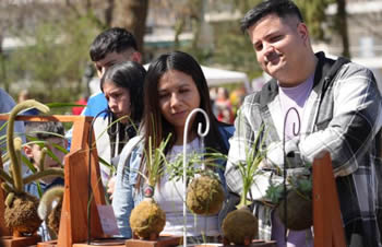 Feria botánica