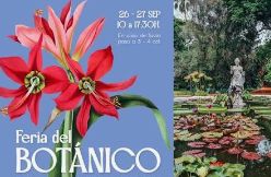 Feria del Botánico